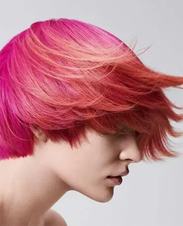 Haircompany by Andrea Galerie Haircompany by Andrea Galerie