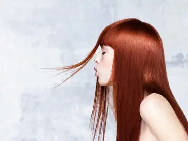 Haircompany by Andrea Galerie Haircompany by Andrea Galerie